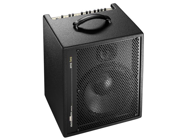 AER Amp Two, Bass Combo 200W