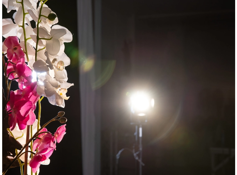 Eurolite AKKU THA-20PC TRC Theater-Spot Black 