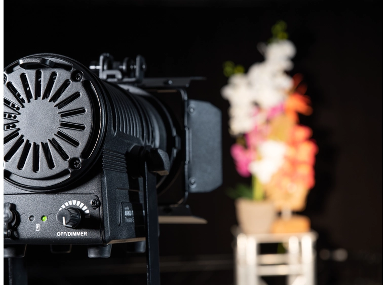 Eurolite AKKU THA-20PC TRC Theater-Spot Black 