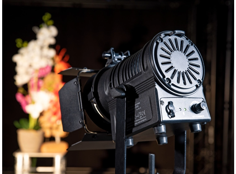 Eurolite AKKU THA-20PC TRC Theater-Spot Black 