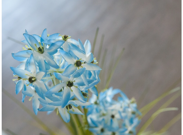 Europalms Allium grass, artificial plant Blue, 120 cm 