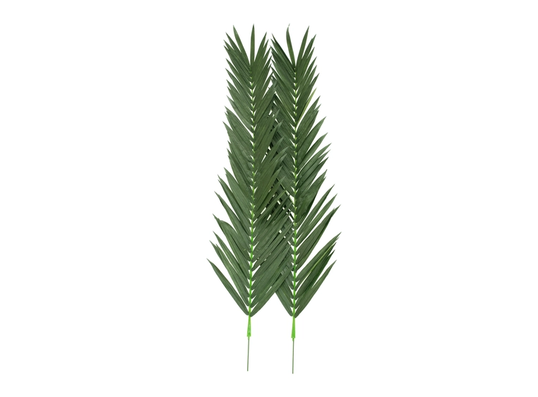 Europalms Coconut king palm branch artificial, 210cm 