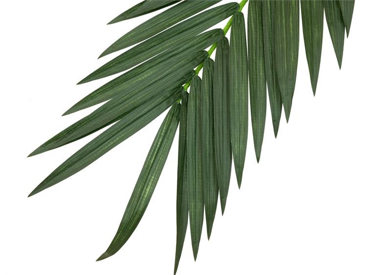 Europalms Coconut king palm branch artificial, 210cm