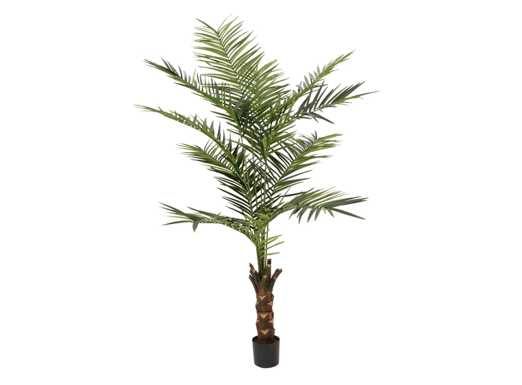 Europalms Kentia palm tree artificial plant, 240cm 