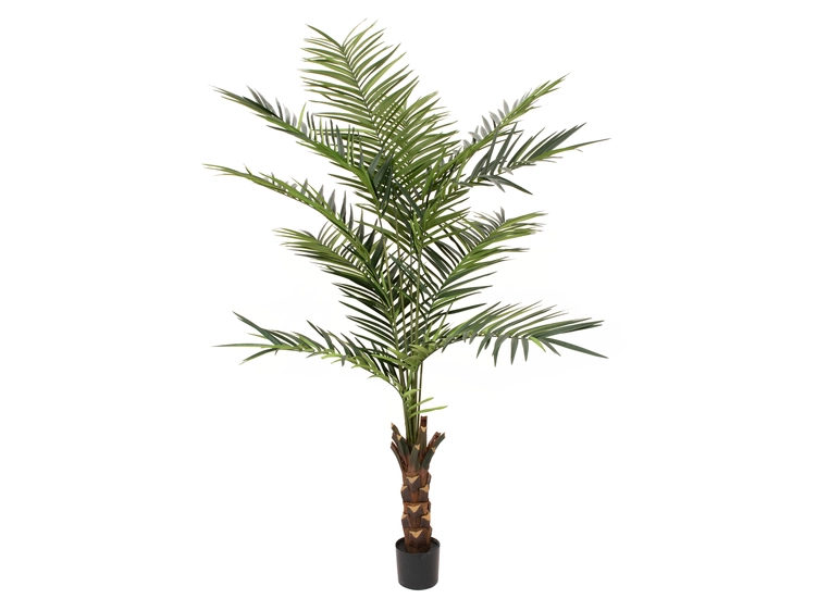 Europalms Kentia palm tree artificial plant, 240cm 
