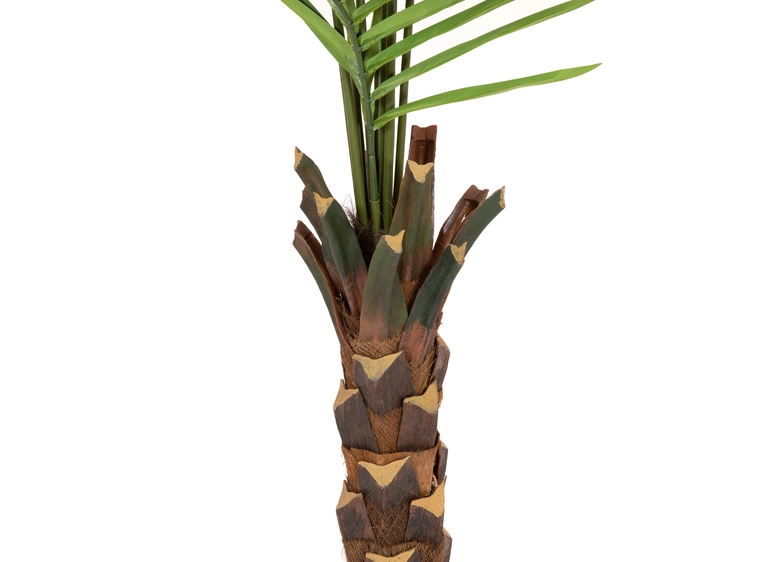 Europalms Kentia palm tree artificial plant, 240cm 