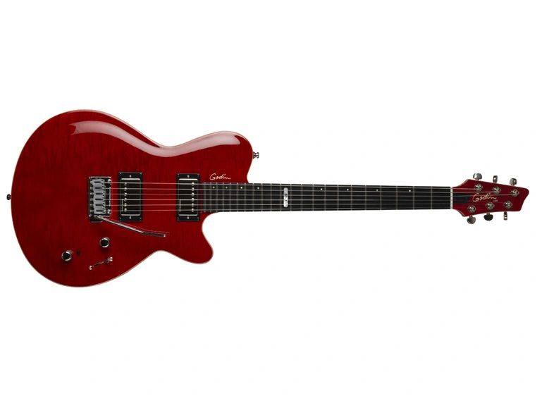 Godin DS-1 Daryl Stuermer Signature w/bag 