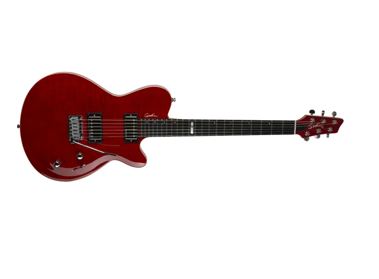 Godin DS-1 Daryl Stuermer Signature w/bag 