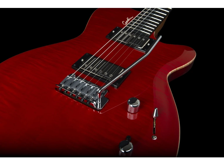 Godin DS-1 Daryl Stuermer Signature w/bag 