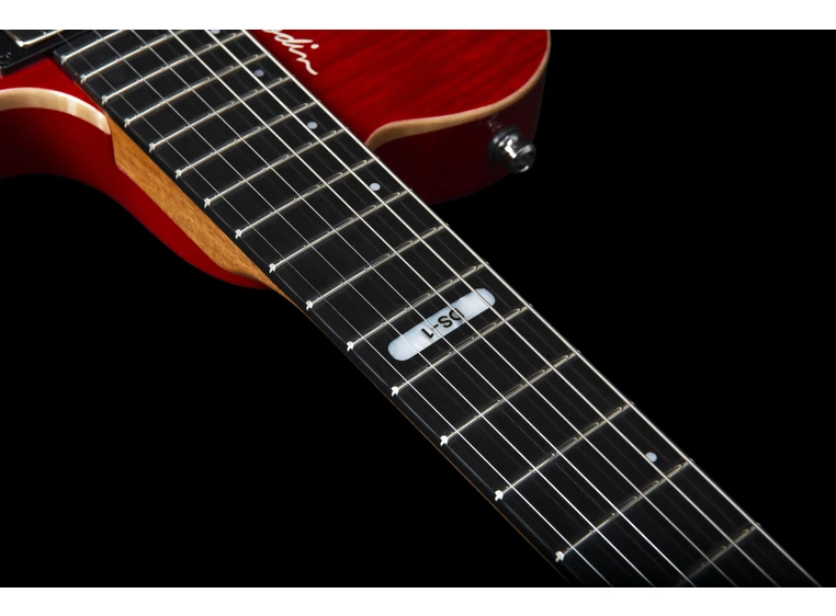 Godin DS-1 Daryl Stuermer Signature w/bag 