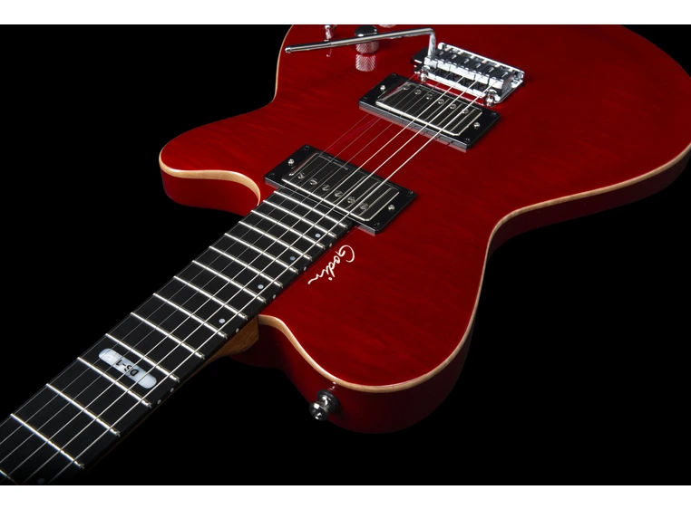 Godin DS-1 Daryl Stuermer Signature w/bag 