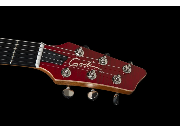 Godin DS-1 Daryl Stuermer Signature w/bag 