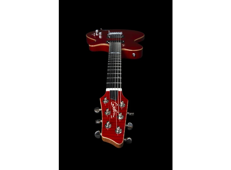 Godin DS-1 Daryl Stuermer Signature w/bag 