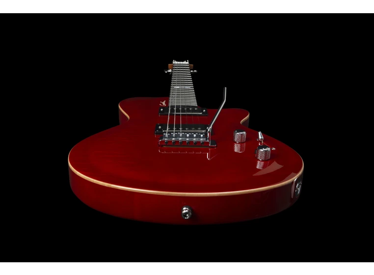 Godin DS-1 Daryl Stuermer Signature w/bag 