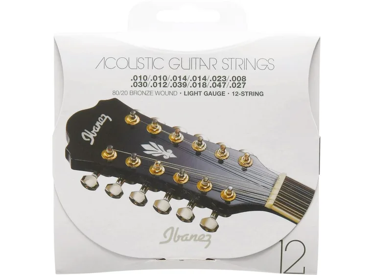 Ibanez IACS12C Streng 12-str. western (010-047) 