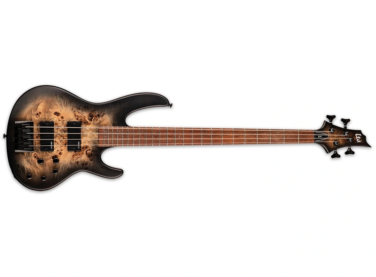 LTD D-4 Black Natural Burst Satin Burled Poplar 