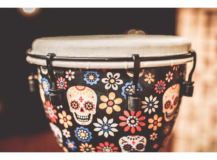 Meinl ADJ10-DA Djembe Synthetic 10" Day of Dead, Alpine Series 