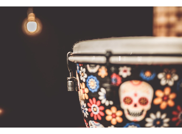 Meinl ADJ10-DA Djembe Synthetic 10" Day of Dead, Alpine Series 