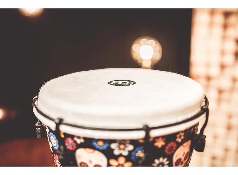 Meinl ADJ10-DA Djembe Synthetic 10" Day of Dead, Alpine Series 