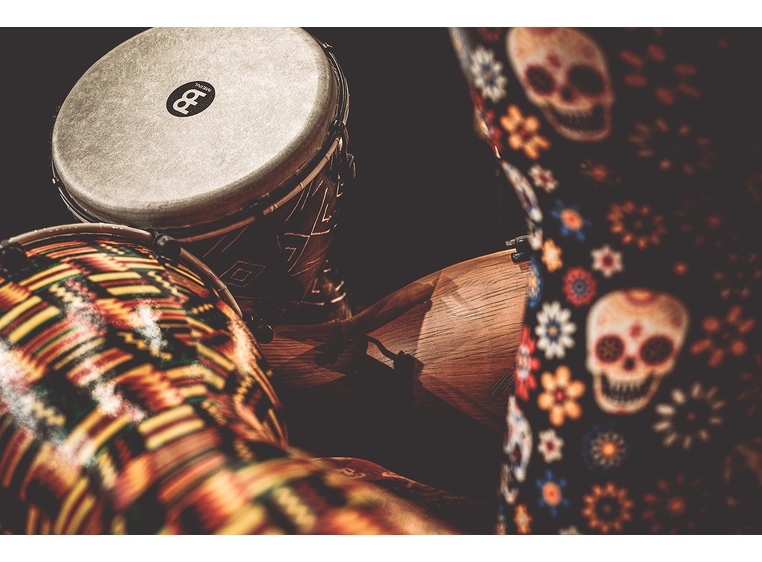 Meinl ADJ10-DA Djembe Synthetic 10" Day of Dead, Alpine Series 