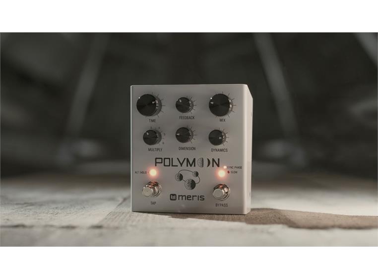 Meris Polymoon Super-Modulated Delay Pedal, inspired by cascaded rack gear