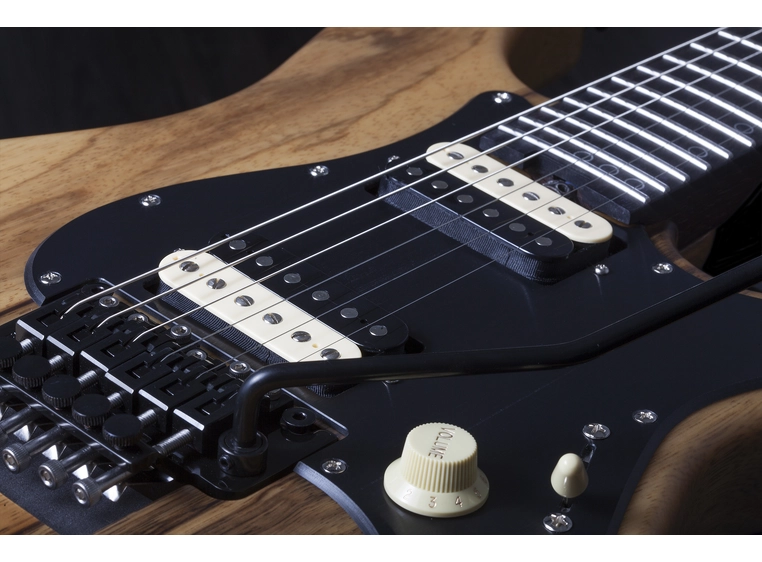 Schecter Sun Valley Super Shredder Exotic, Black Limba 