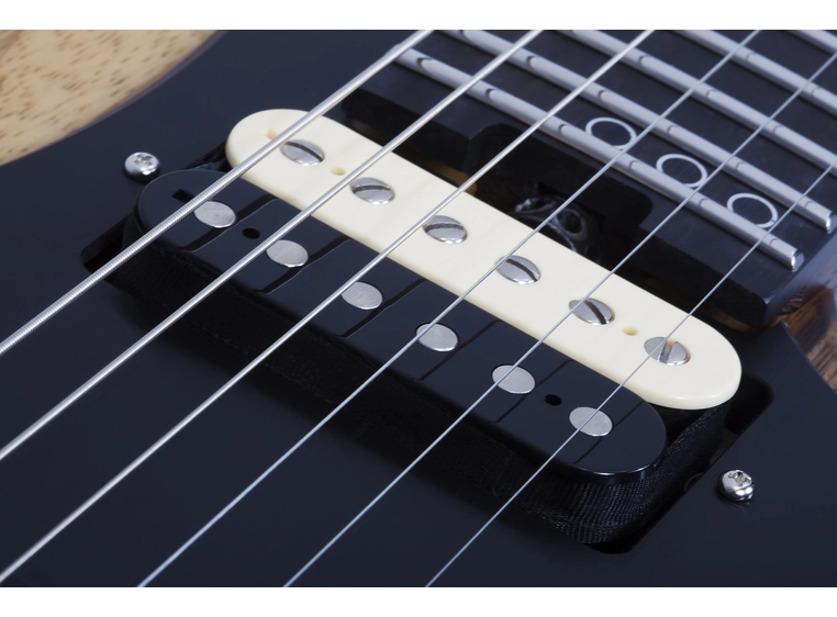 Schecter Sun Valley Super Shredder Exotic, Black Limba 