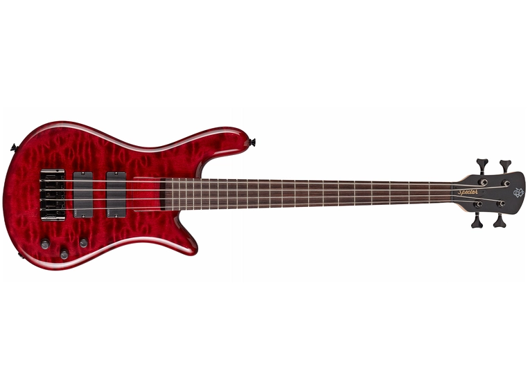 Spector Euro Bantam 4 Black Cherry Gloss 
