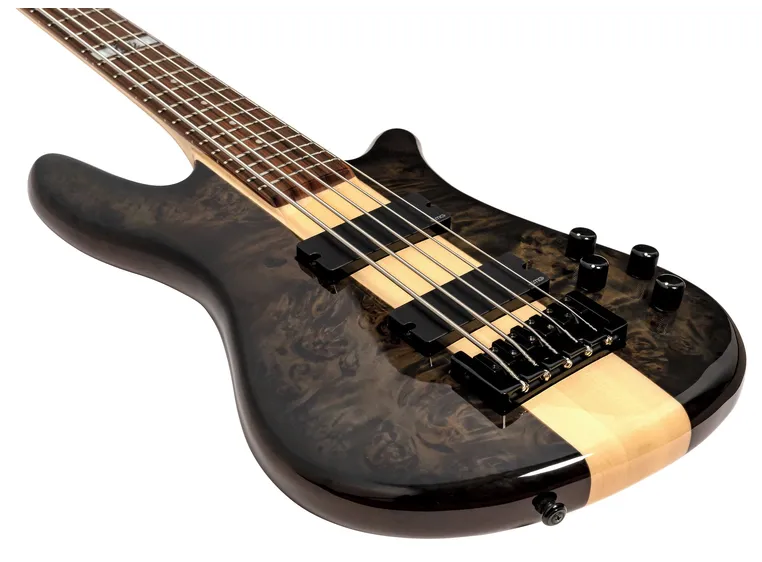 Spector Legend Dan Briggs Natural Gloss 