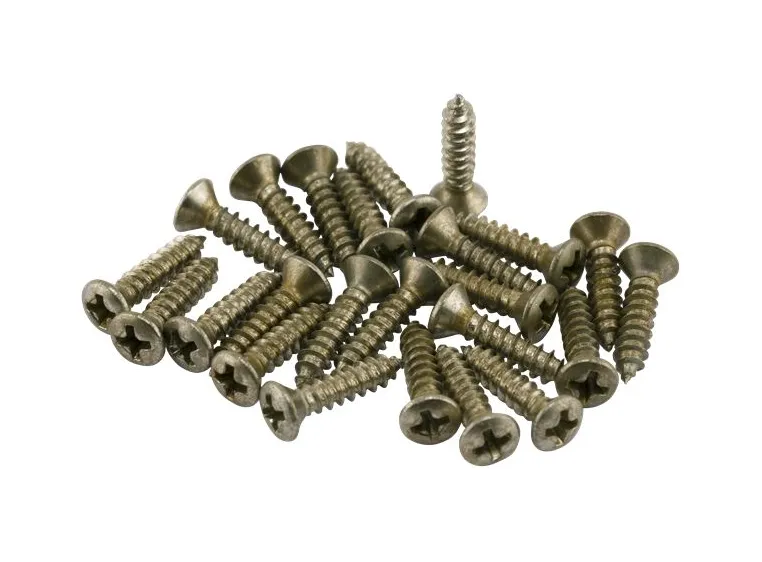 Fender Road Worn Pickguard/Control Plate Screws (24) 