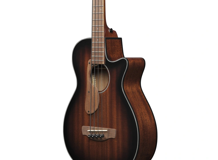 Ibanez AEGB24E-MHS 