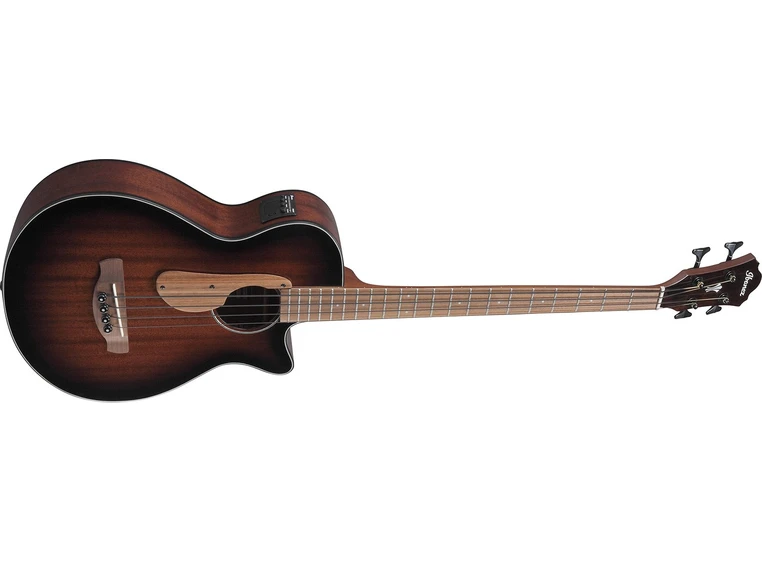 Ibanez AEGB24E-MHS 