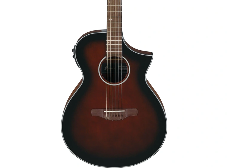 Ibanez AEWC11 DVS akustisk gitar 