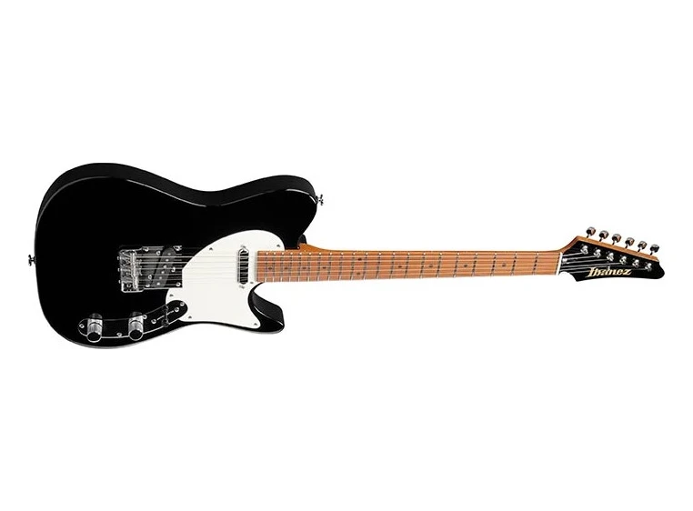 Ibanez FLATV1-BK 