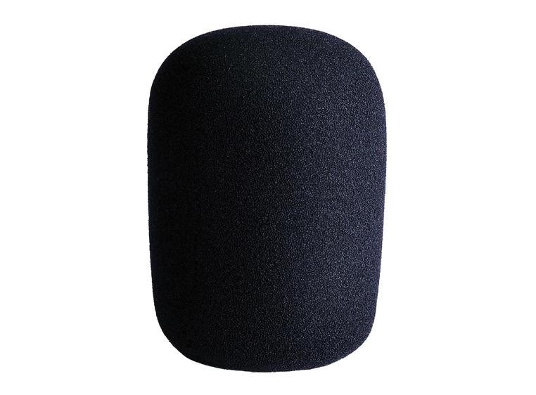 Lewitt LCT 40 WXX Vindhette Passer til LCT 840/940 