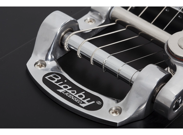 Schecter Robert Smith UltraCure Black Pearl 