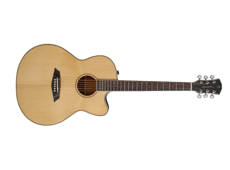 Sire A3 Larry Carlton Grand Auditorium NT 