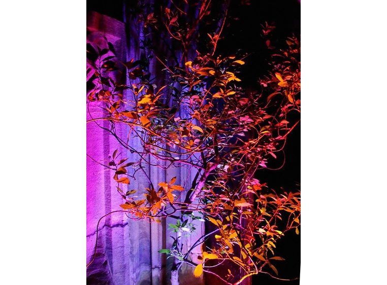 Eurolite AKKU UP-7 QCL Spot QuickDMX 