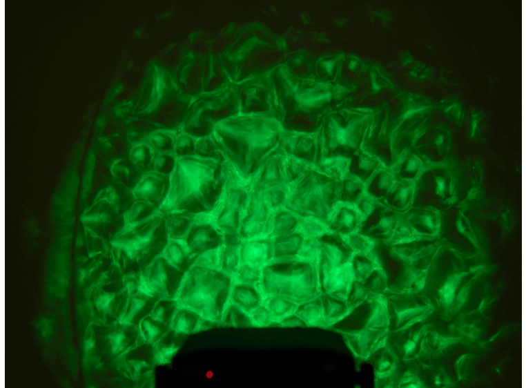 Eurolite LED WF-30 Water Effect 