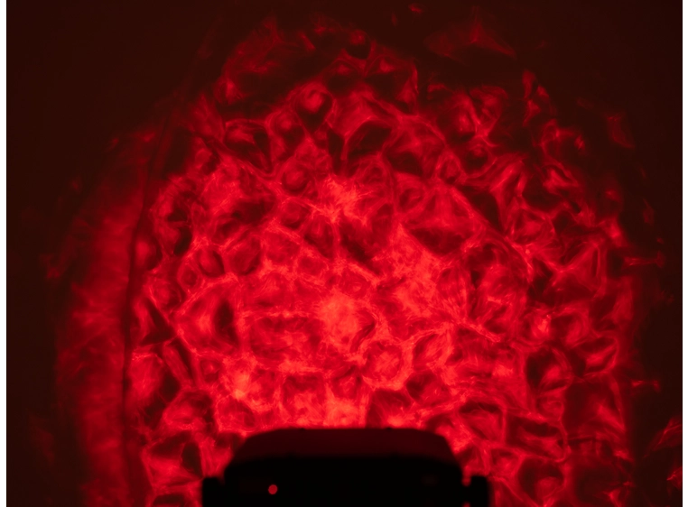 Eurolite LED WF-30 Water Effect 