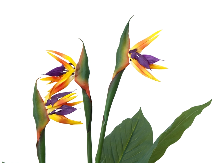 Europalms Bird-of-paradise flower artificial plant, 90cm 