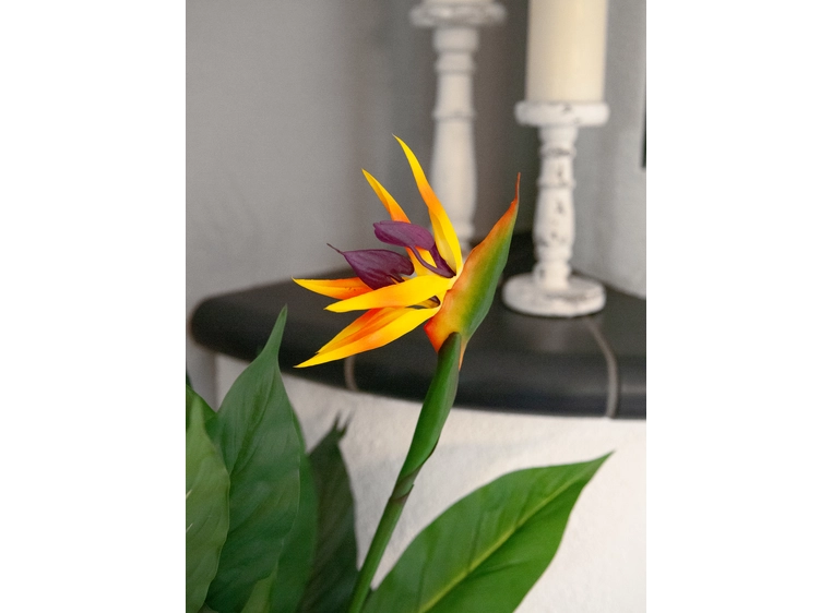 Europalms Bird-of-paradise flower artificial plant, 90cm 
