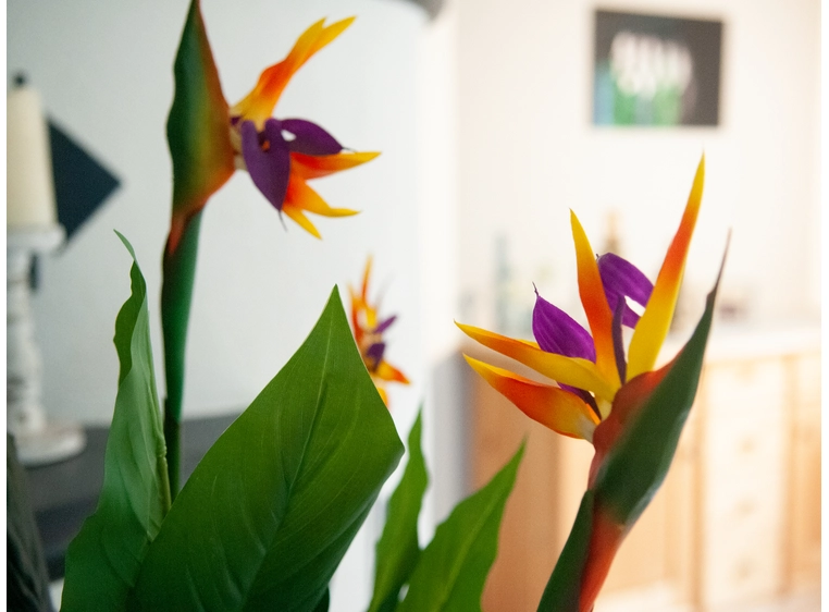 Europalms Bird-of-paradise flower artificial plant, 90cm 