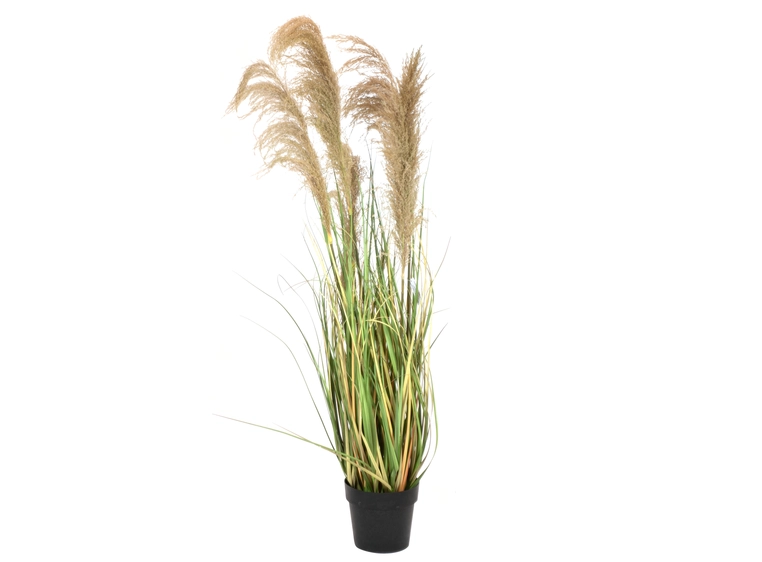 Europalms Chinese silvergrass artificial plant, 140 cm 
