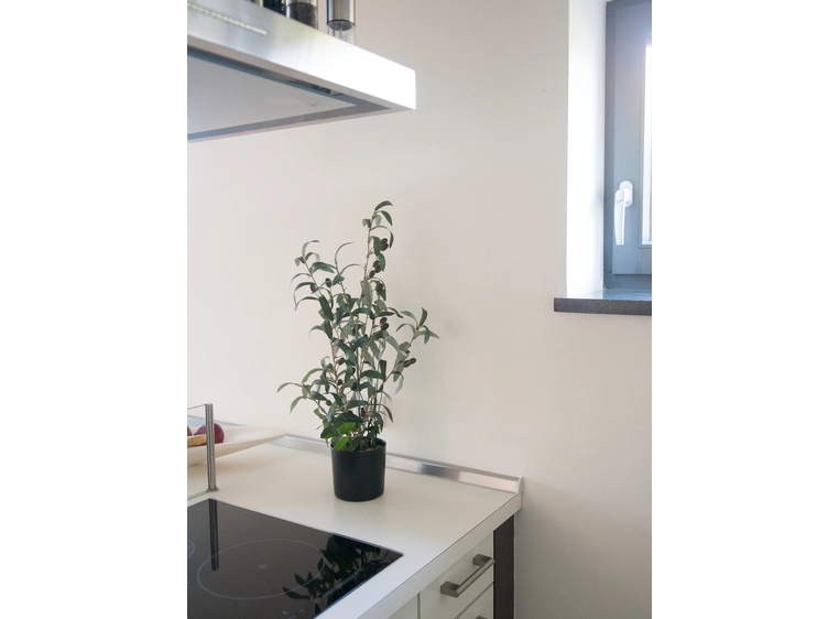 Europalms Olive tree, artificial plant 68 cm 