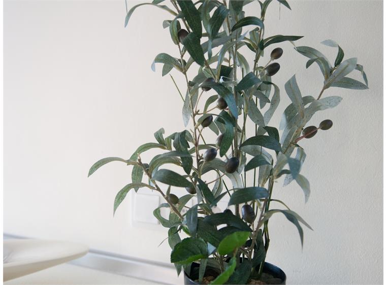 Europalms Olive tree, artificial plant 68 cm