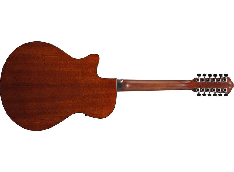 Ibanez AEG5012 BKH akustisk gitar 