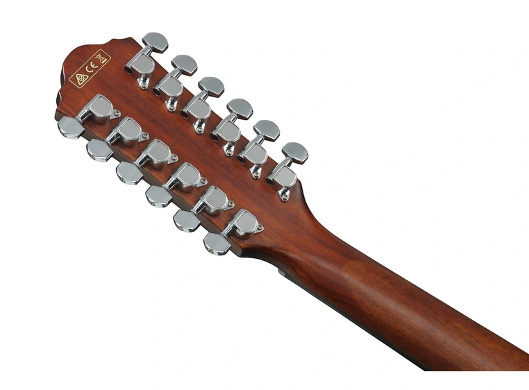 Ibanez AEG5012 BKH akustisk gitar 