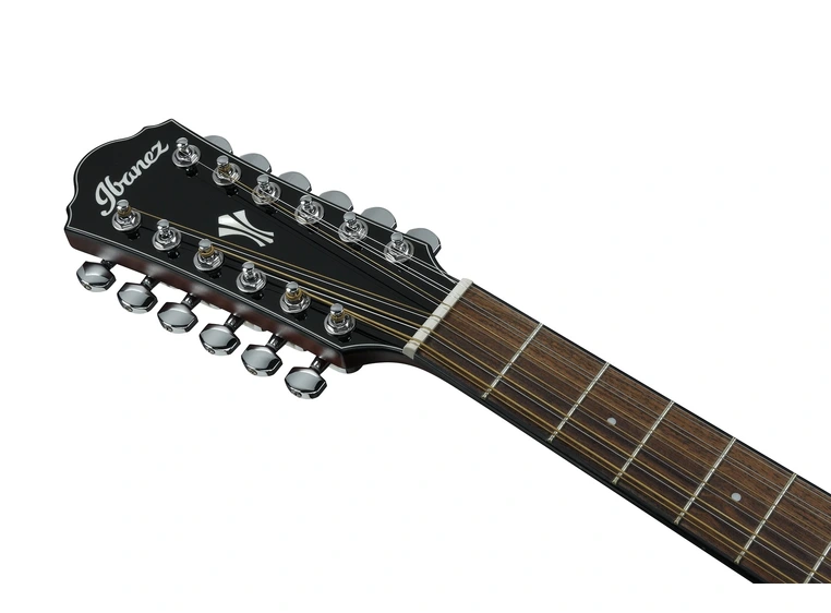 Ibanez AEG5012 BKH akustisk gitar 