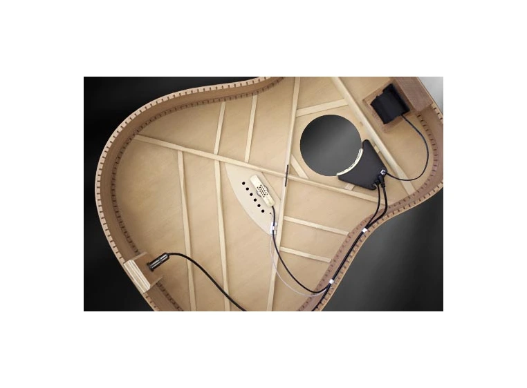 L.R.Baggs Anthem SL, "True-Mic" Syst.w/Element & Endpin Amp 